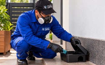 Registro de atendimento da Dedetizadora Capital