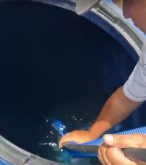 Limpeza no interior de reservatório azul